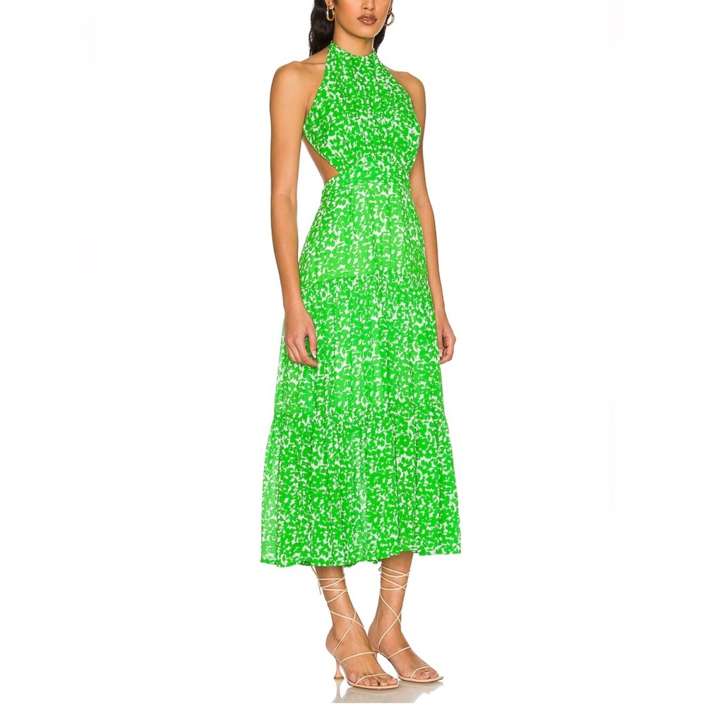 Karina Grimaldi | Lily Maxi Dress in Lime Multi Floral